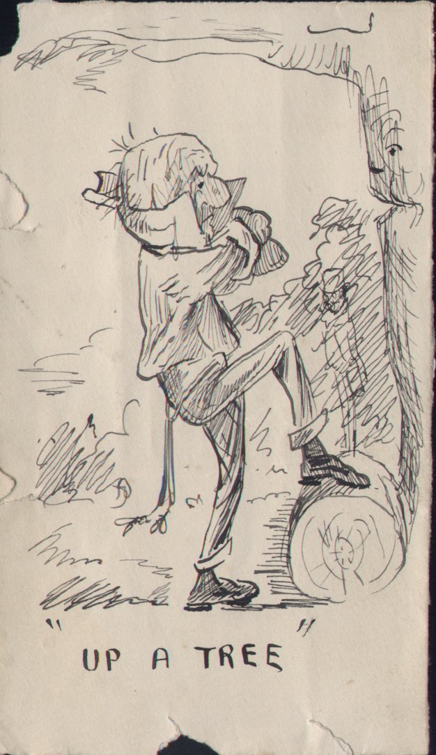 Pen & Ink - Up a Tree